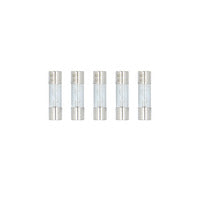 Raptor Mid Series Nickel-Plated AGU Fuses | 60A | 5 Pack - RAGU60-5
