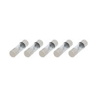 Raptor Mid Series Nickel-Plated AGU Fuses | 80A | 5 Pack - RAGU80-5