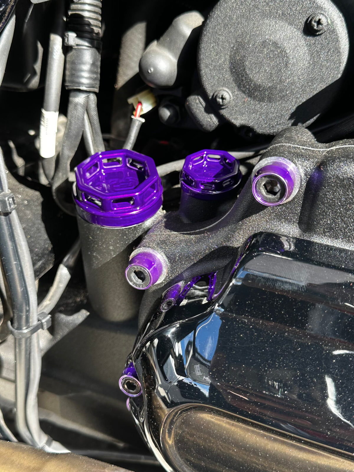 Curly's Inc Apex Oil Dipstick Cap