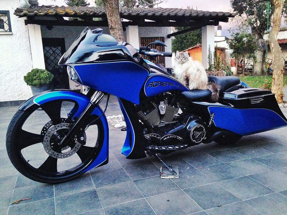 El Toro Harley Pan America Black Wheels