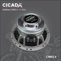 CICADA - CM65.4
