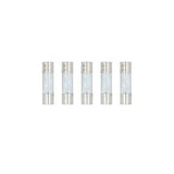Raptor Mid Series Nickel-Plated AGU Fuses | 60A | 5 Pack - RAGU60-5