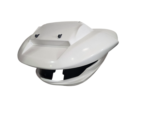 Insane Asylum 2024 Fairing Conversion Kit