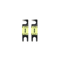 Raptor Mid Series Nickel-Plated Mini ANL Fuses | 100A | 2 Pack - RMANL100