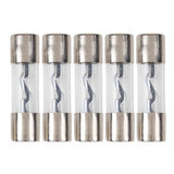 Raptor Mid Series Nickel-Plated AGU Fuses | 40A | 5 Pack - RAGU40-5