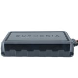 Euphoria EMA-1000.1 : Marine Mono Class D amplifier includes matched wire harness & remote set
