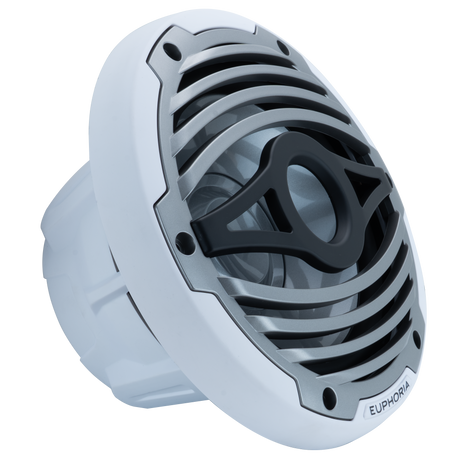 Euphoria ERMW10 : 10" Reference Marine Subwoofer with RGB Accent Lighting