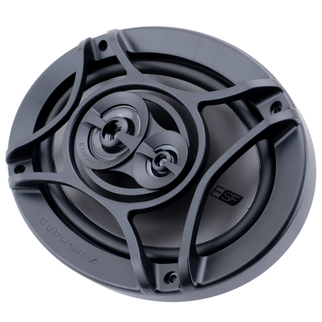 Euphoria ESF693 : Premium Upgrade 6"×9" 3-way loudspeaker (Pair)