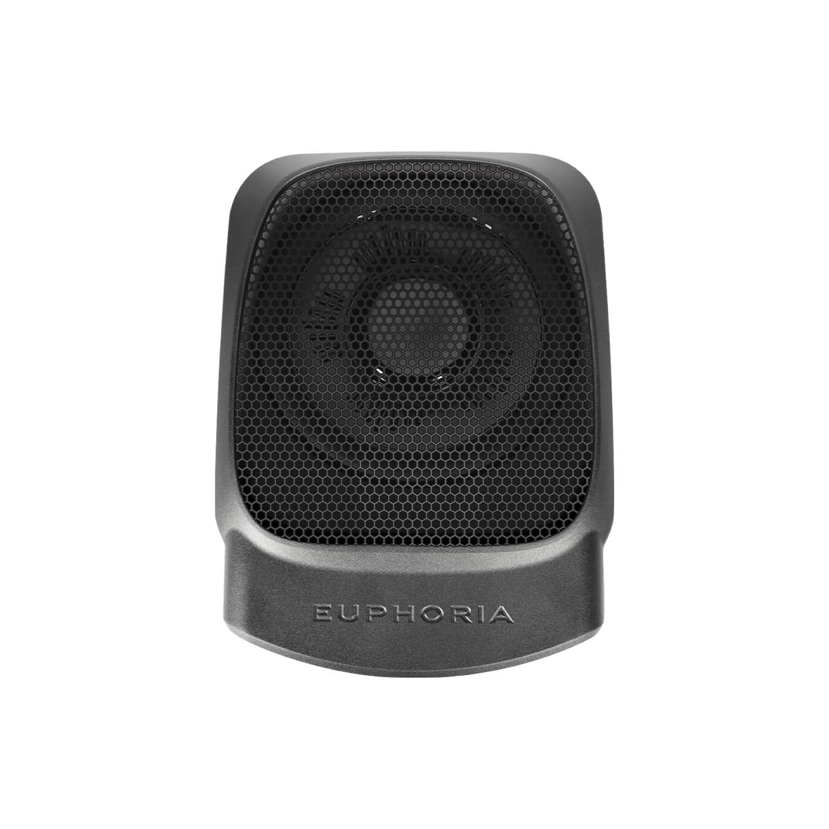 Euphoria EPSW10 : 10" Underseat Active Subwoofer