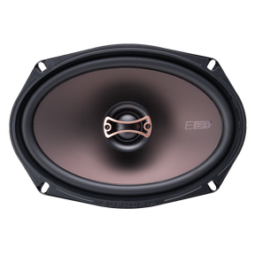 Euphoria ESR69 : Reference 6"×9" 2-way Loudspeaker (Pair)