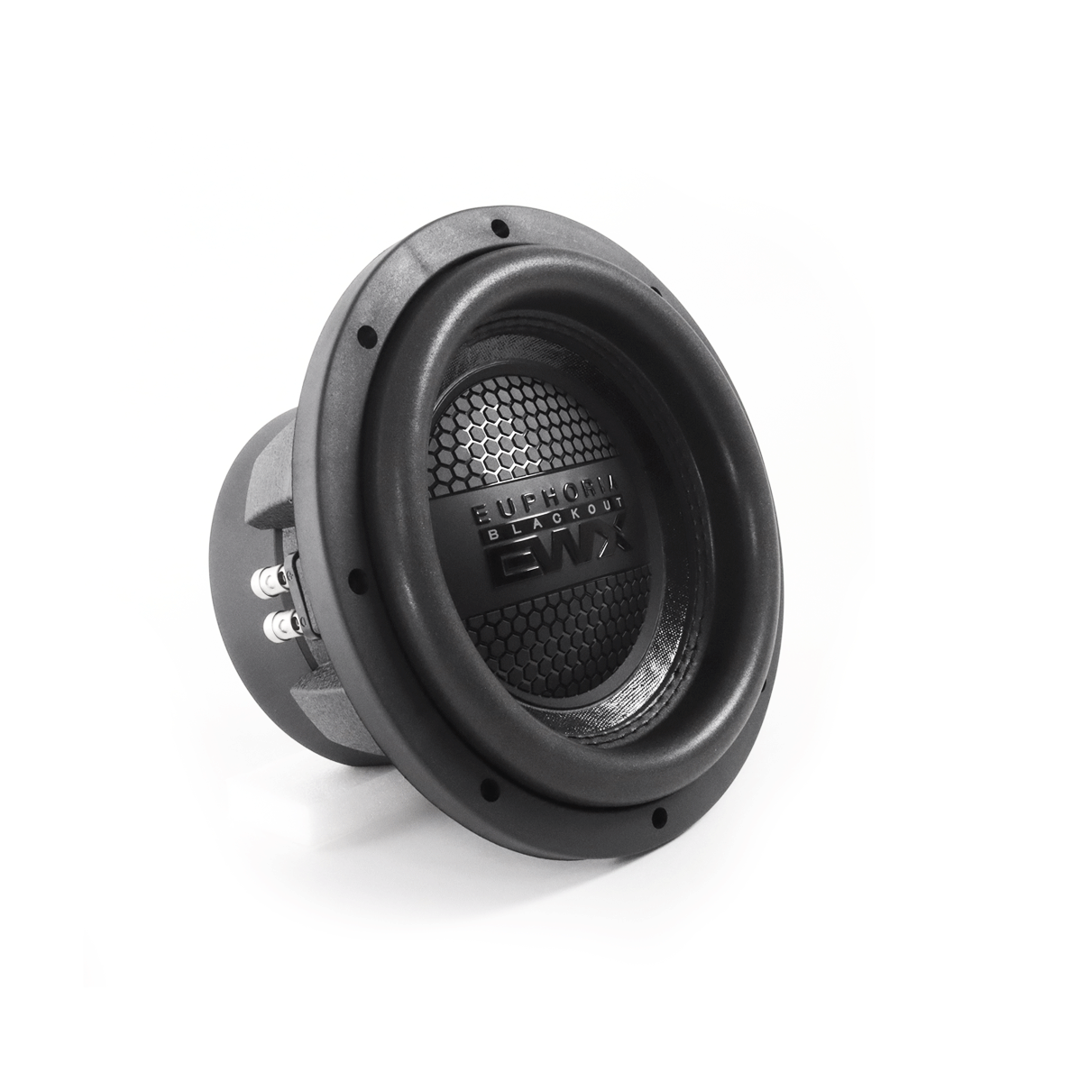 Euphoria EWXB10D2 : 10" Dual 2-Ohm Subwoofer Black Out Edition