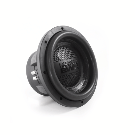 Euphoria EWXB10D2 : 10" Dual 2-Ohm Subwoofer Black Out Edition