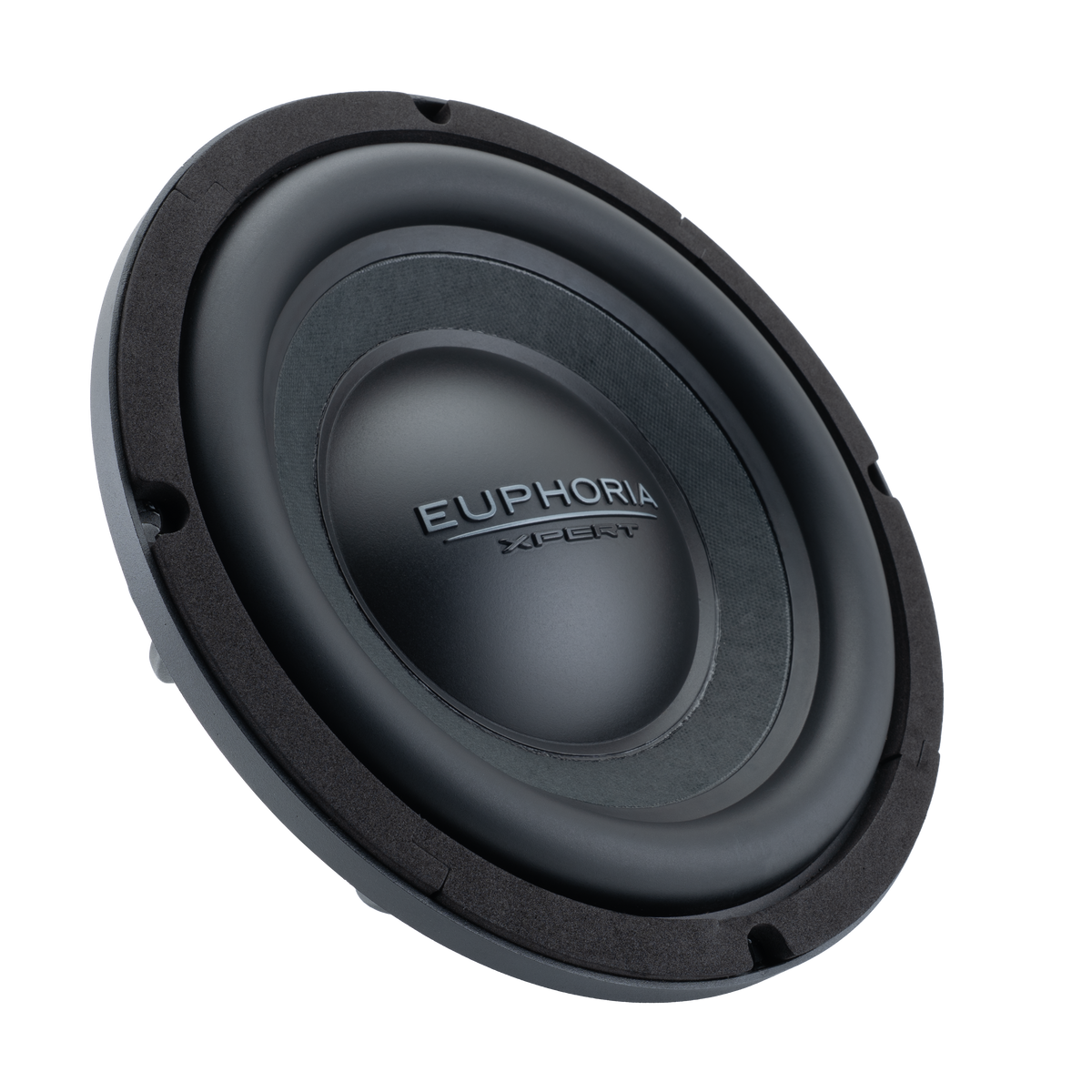 Xpert EX10NMB : 10" Die-Cast NEO Midbass