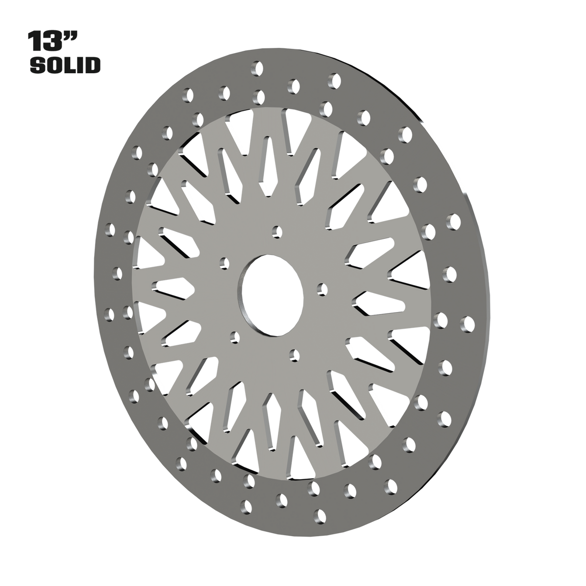Gasser 13" solid rotor in polished