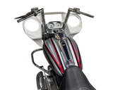 Insane Asylum 2024 Fairing Conversion Kit