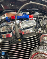 Curly's Inc M8 AN Braided Oil Line Kit (Patent Pending)