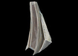 Powerhouse Maelstrom Chin Spoiler