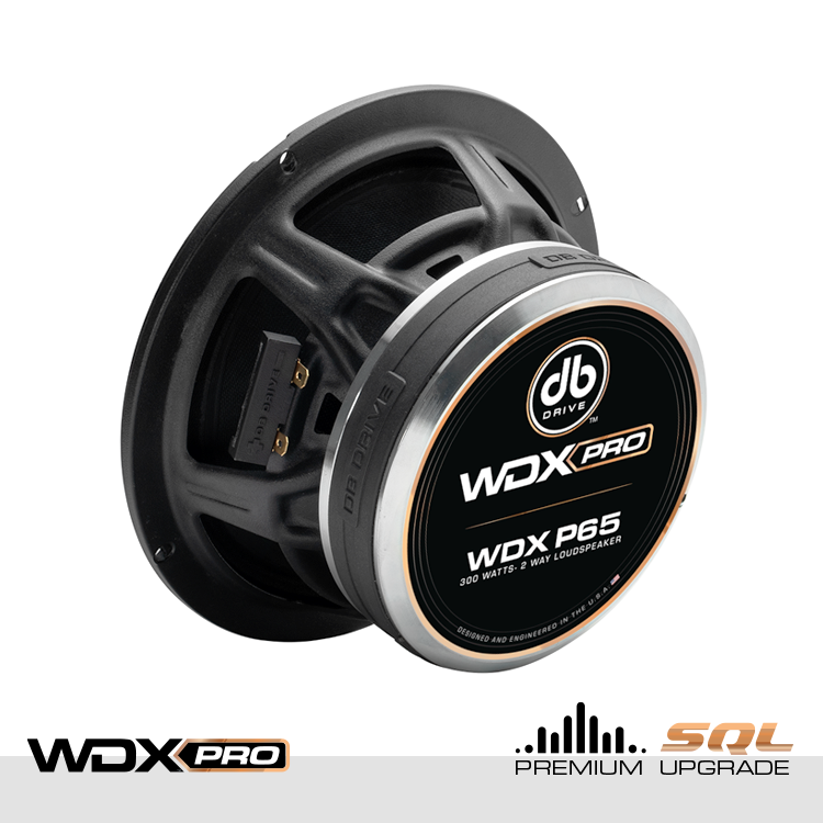DB Drive WDX P65 : WDX PRO 6.5" 2-Way Loudspeaker