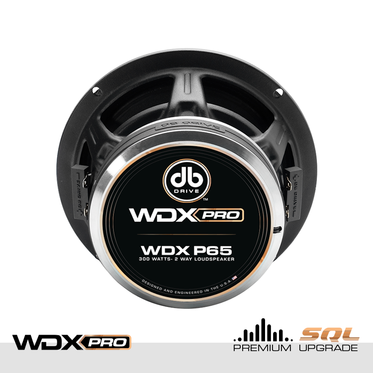 DB Drive WDX P65 : WDX PRO 6.5" 2-Way Loudspeaker