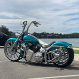 Elliptical Illusion Indian Chrome Wheels