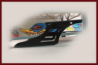 DIRTY BIRD CONCEPTS INDIAN SLOTTED STEALTH TOUR PACK RACK MOUNT