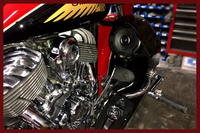 DIRTY BIRD CONCEPTS INDIAN LOUD AUDIO LOWERS LEG WARMERS 6.5"