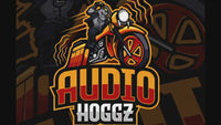 AUDIO HOGGZ CICADA 4 SPEAKER PACKAGE W/ INSTALLATION