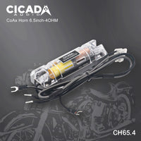 CICADA - CH65.4