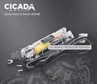 CICADA - CH8.4