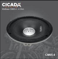 CICADA - CM65.4